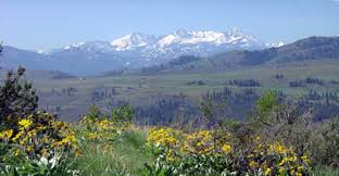 RS Perry Jim Johnson novel home ranch with yellow balsam root and Oval Peak and the Cascades in the distance.