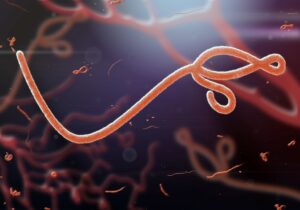 Ebola virus RS Perry's deadliest virus post