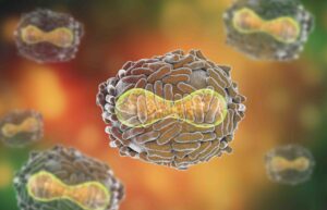 Variola major, small pox image in RS Perry's killer virus pandemic post