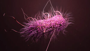 E coli bacterium in RS Perry's blog 