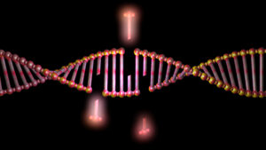 image of genetic engineering in RS Perry post on Bacterial Superbugs